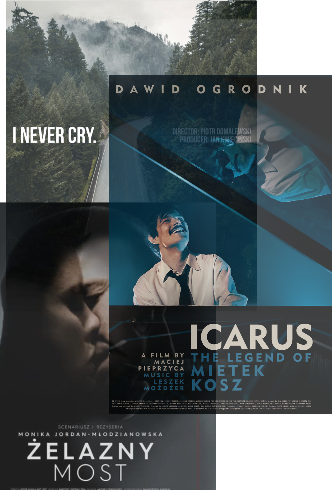 Polish Heritage Club Polish Heritage Club